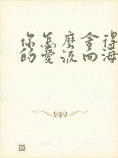 你怎么舍得让我的爱流向海