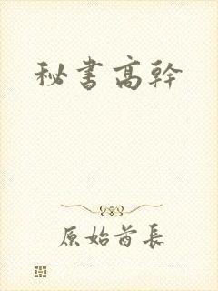 秘书高干