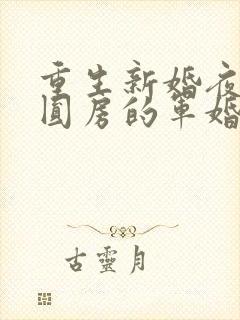 重生新婚夜正在圆房的军婚