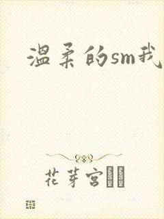 温柔的sm我