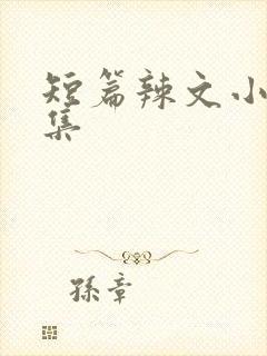 短篇辣文小说合集