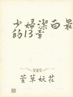 少妇洁白最刺激的13章
