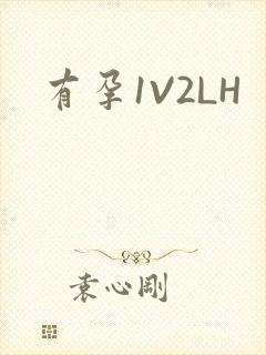 有孕1V2LH