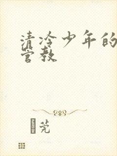 清冷少年的严厉管教