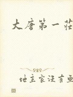 大唐第一庄