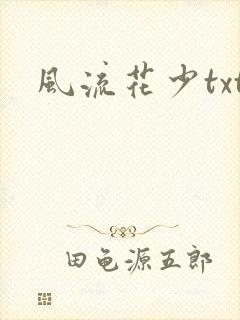 风流花少txt