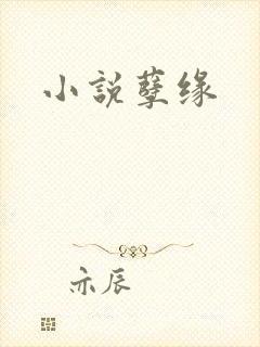 小说孽缘