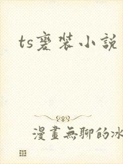 ts变装小说