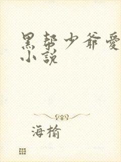 黑帮少爷爱上我小说