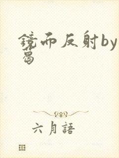 镜面反射by九葛