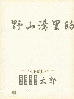 野山沟里的村庄