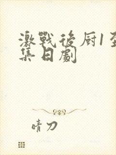 激战后厨1至5集日剧