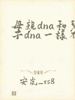 母亲dna和儿子dna一样不
