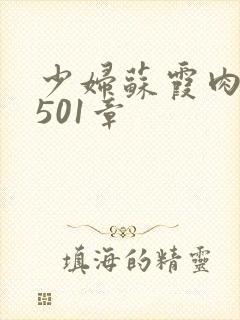 少妇苏霞肉欲第501章