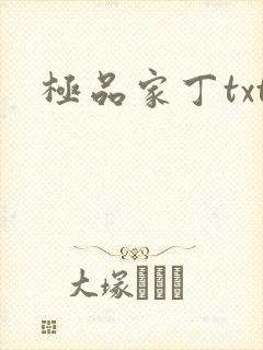 极品家丁txt