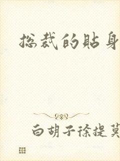 总裁的贴身女佣