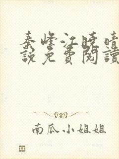 秦峰江晓晴的小说免费阅读