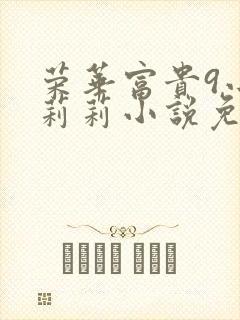 荣华富贵9小王莉莉小说免费阅读