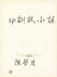 sp训诫小说