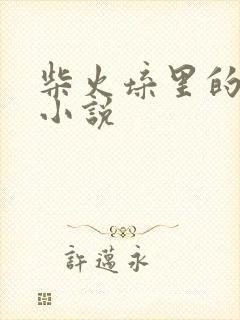 柴火垛里的疯狂小说