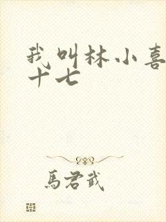 我叫林小喜今年十七