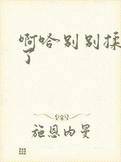 啊哈别别揉那处了