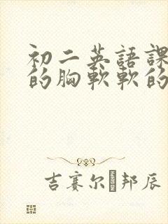 初二英语课代表的胸软软的