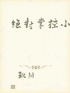 绝对掌控小说