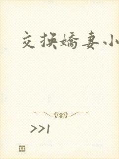 交换娇妻小说