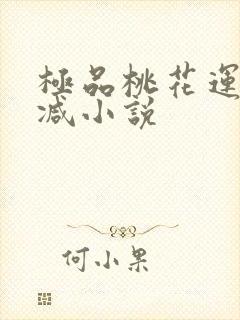 极品桃花运未删减小说