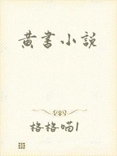 黄书小说