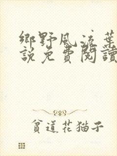 乡野风流叶凡小说免费阅读