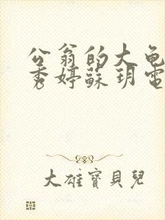 公翁的大龟挺进秀婷苏玥电影