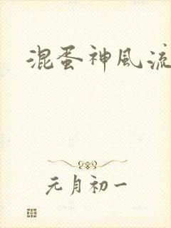 混蛋神风流