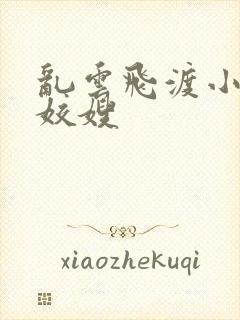 乱云飞渡小说之姣嫂