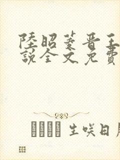 陆昭菱晋王的小说全文免费阅读