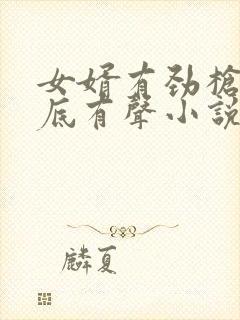 女婿有劲枪枪到底有声小说