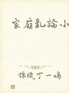 家庭乱论小说