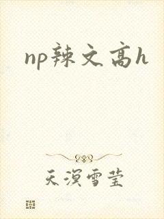 np辣文高h