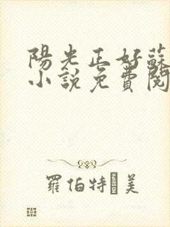 阳光正好苏玥玥小说免费阅读无弹窗