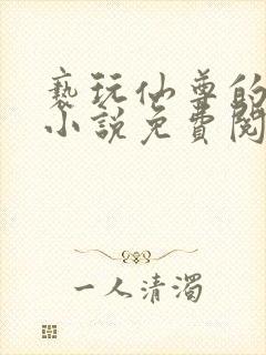 亵玩仙尊的道侣小说免费阅读