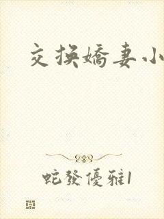 交换娇妻小说