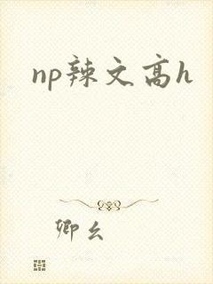 np辣文高h