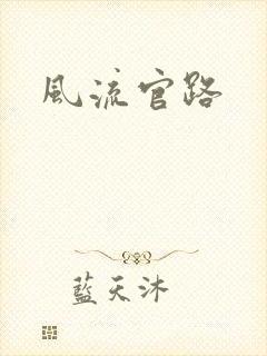 风流官路