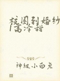 校园到婚纱1V1高冷甜