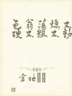 色翁荡熄又大又硬又粗又动态图