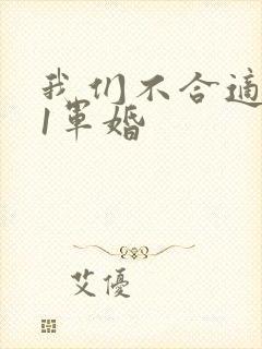 我们不合适1v1军婚