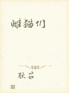 雌猫们