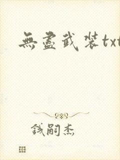 无尽武装txt