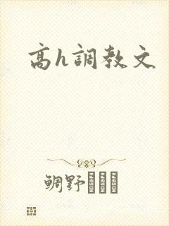 高h调教文